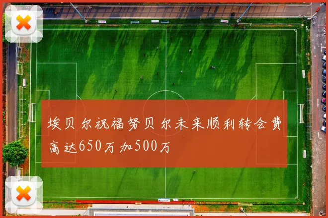 埃贝尔祝福努贝尔未来顺利转会费高达650万加500万