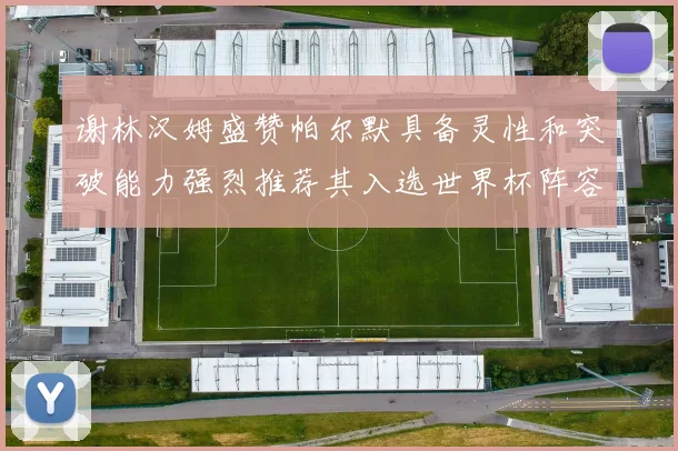 谢林汉姆盛赞帕尔默具备灵性和突破能力强烈推荐其入选世界杯阵容